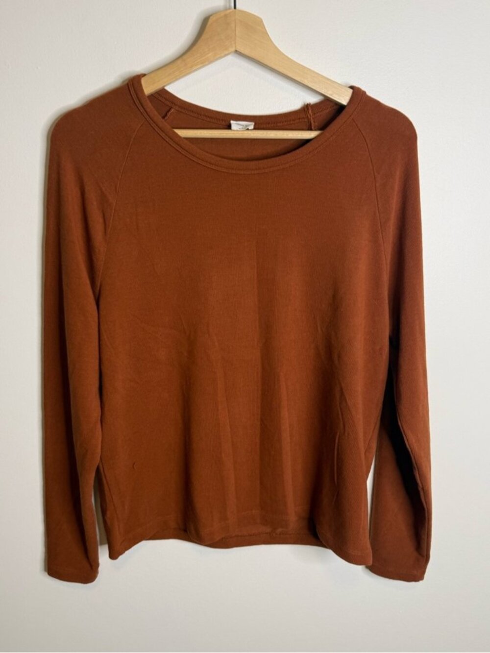 Aritzia Women's Crewneck long sleev in Burnt Orange Wilfred free size small top